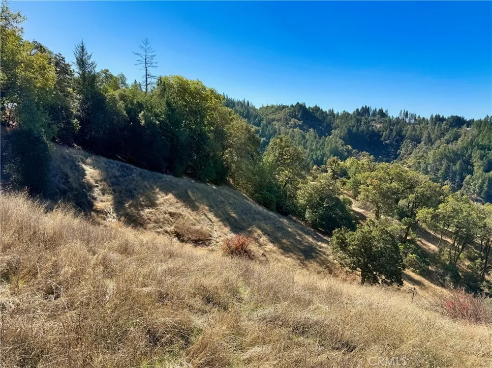 18225 Scenic Drive Redwood Valley, CA 95470