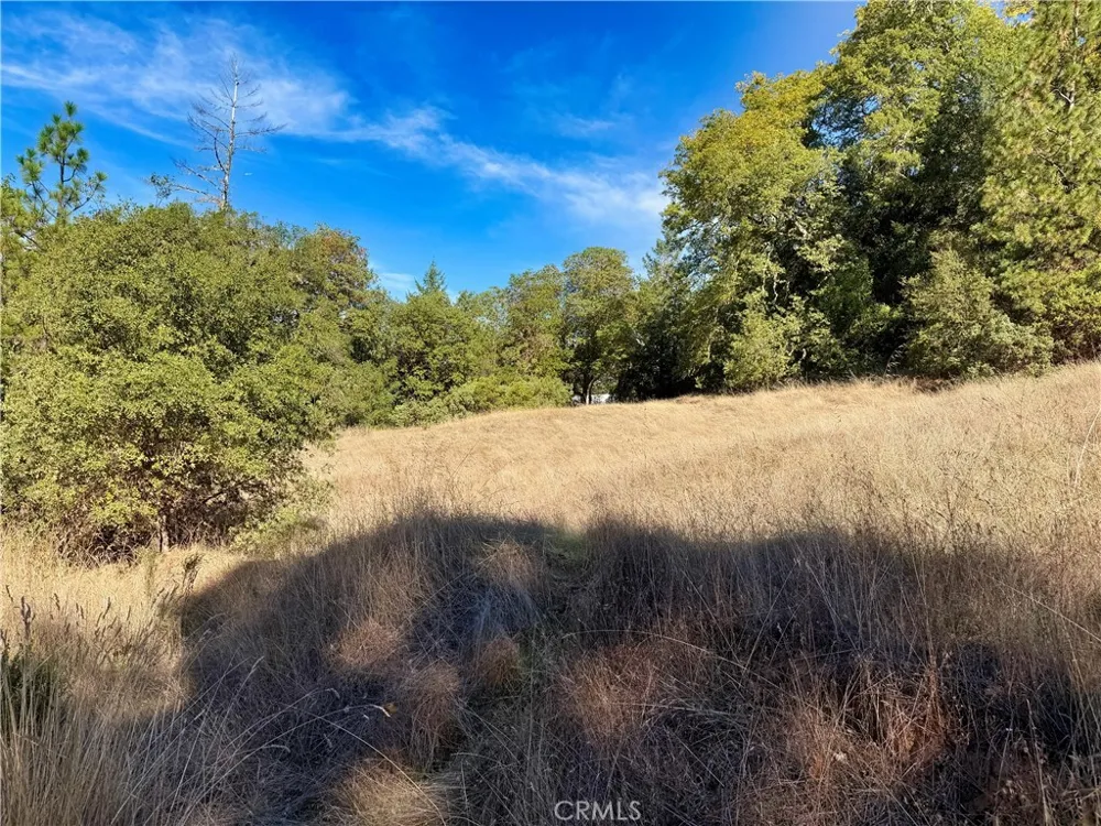 18225 Scenic Drive Redwood Valley, CA 95470