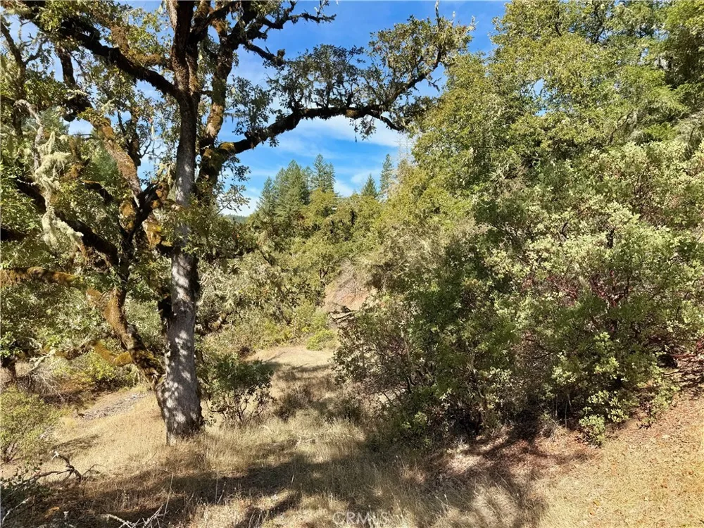 18225 Scenic Drive Redwood Valley, CA 95470