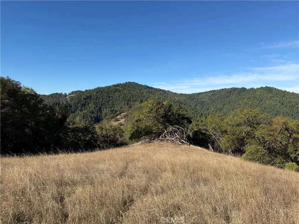 18225 Scenic Drive Redwood Valley, CA 95470