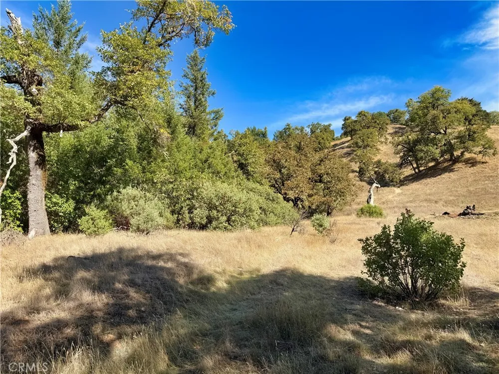 18225 Scenic Drive Redwood Valley, CA 95470