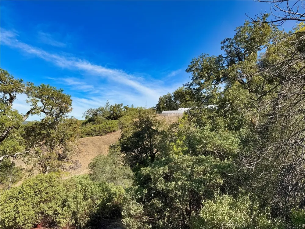 18225 Scenic Drive Redwood Valley, CA 95470