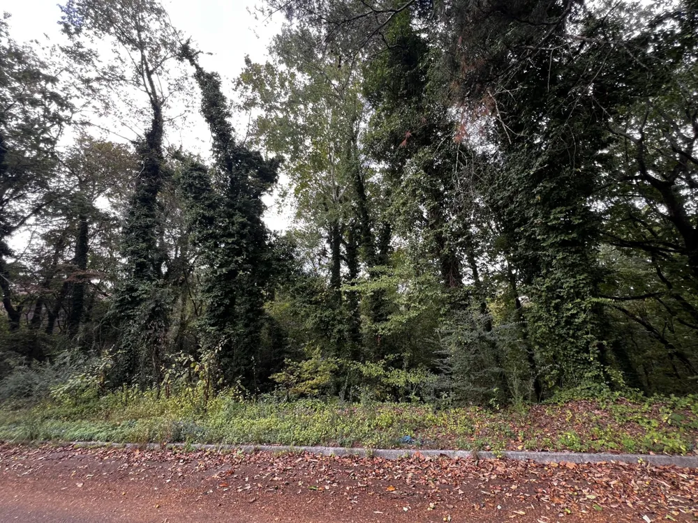 4810 Delashmitt Road Hixson, TN 37343