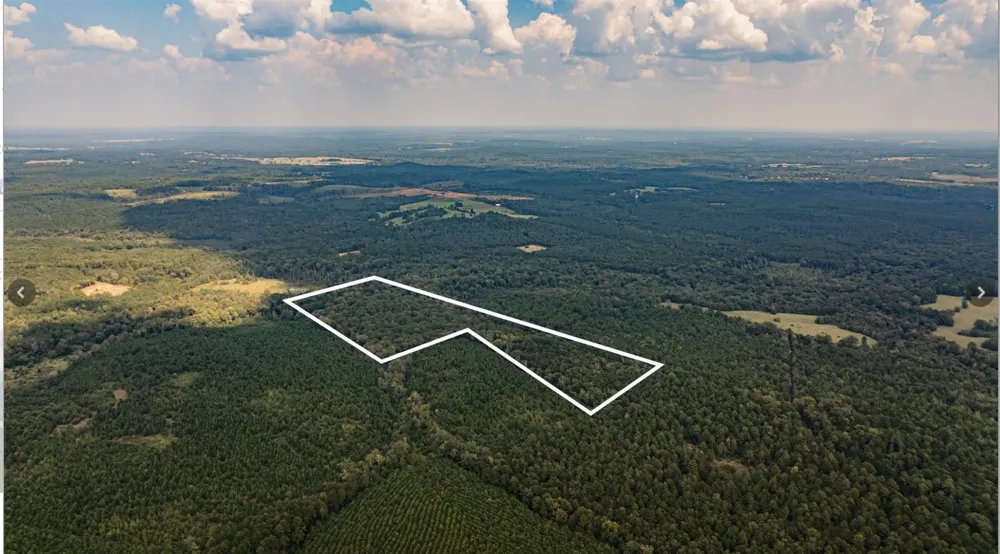 County Road 1582 Avinger, TX 75630