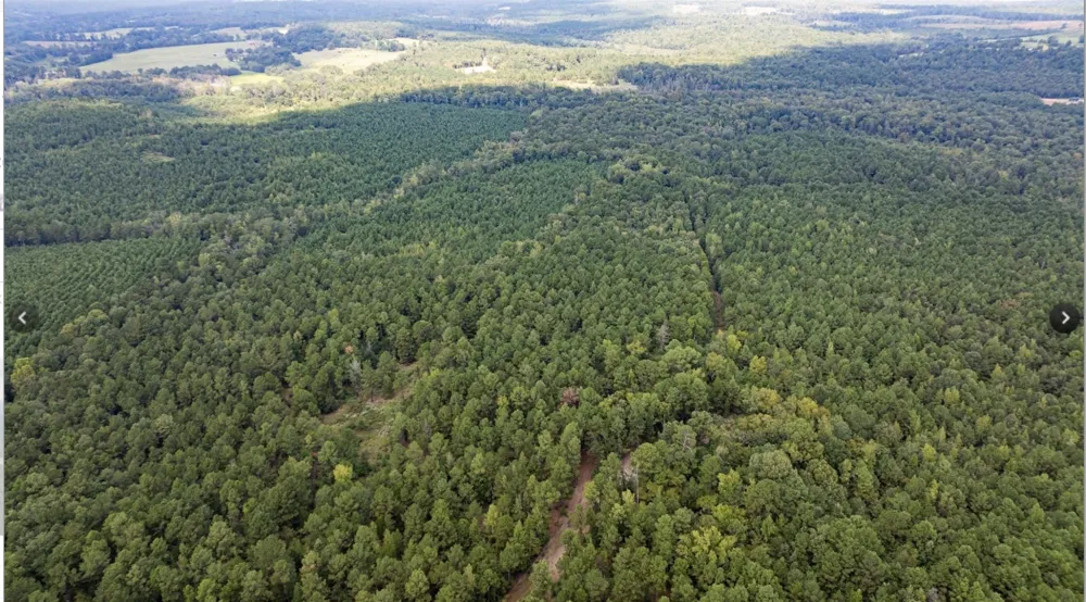 County Road 1582 Avinger, TX 75630