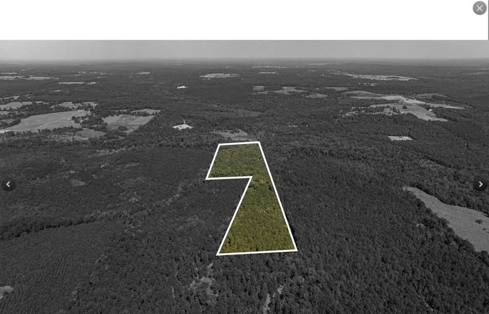 County Road 1582 Avinger, TX 75630