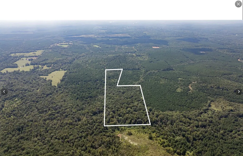 County Road 1582 Avinger, TX 75630