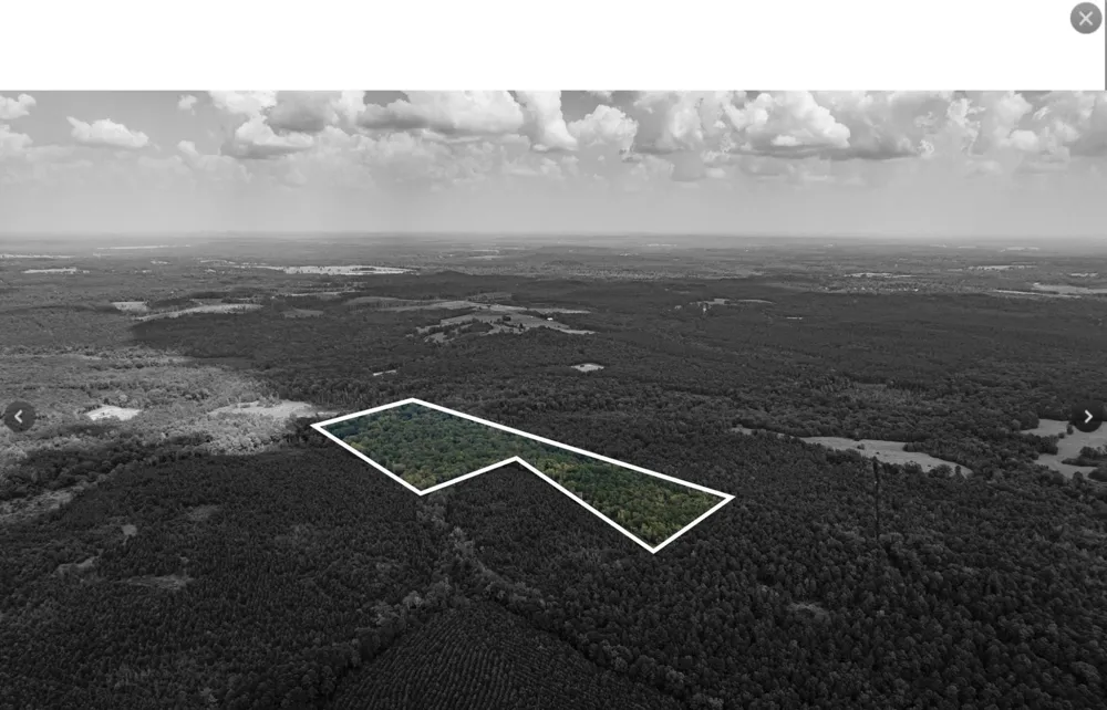 County Road 1582 Avinger, TX 75630