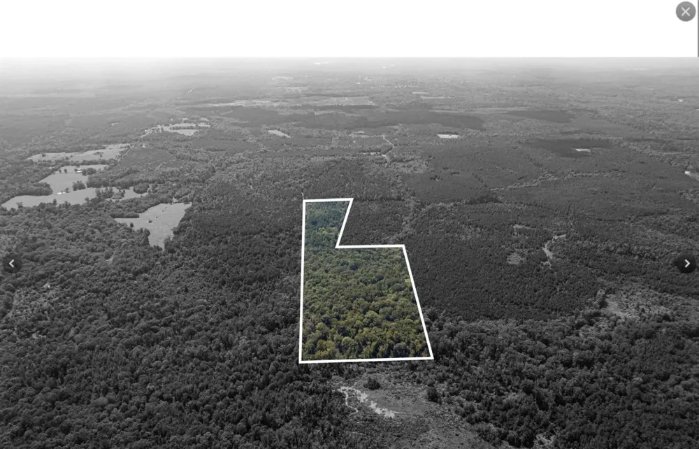 County Road 1582 Avinger, TX 75630