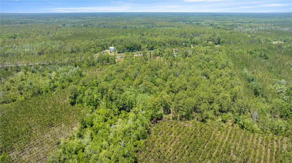 1351 SW STATE ROAD 24 Chiefland, FL 32626
