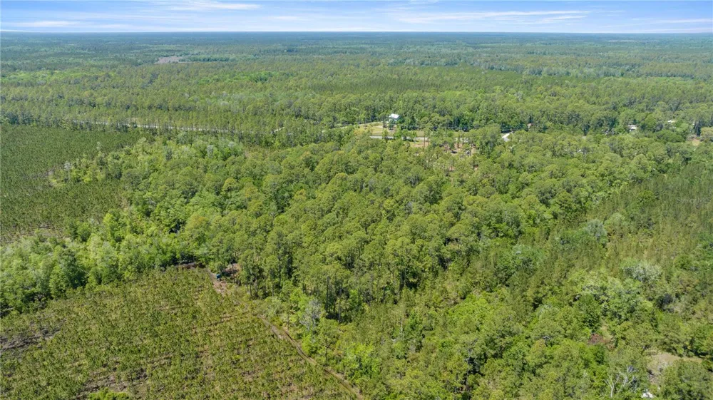 1351 SW STATE ROAD 24 Chiefland, FL 32626
