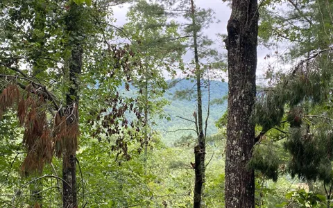 Lot 55 Laurel Trail