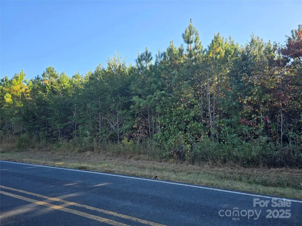 0 Moss Lane New London, NC 28127