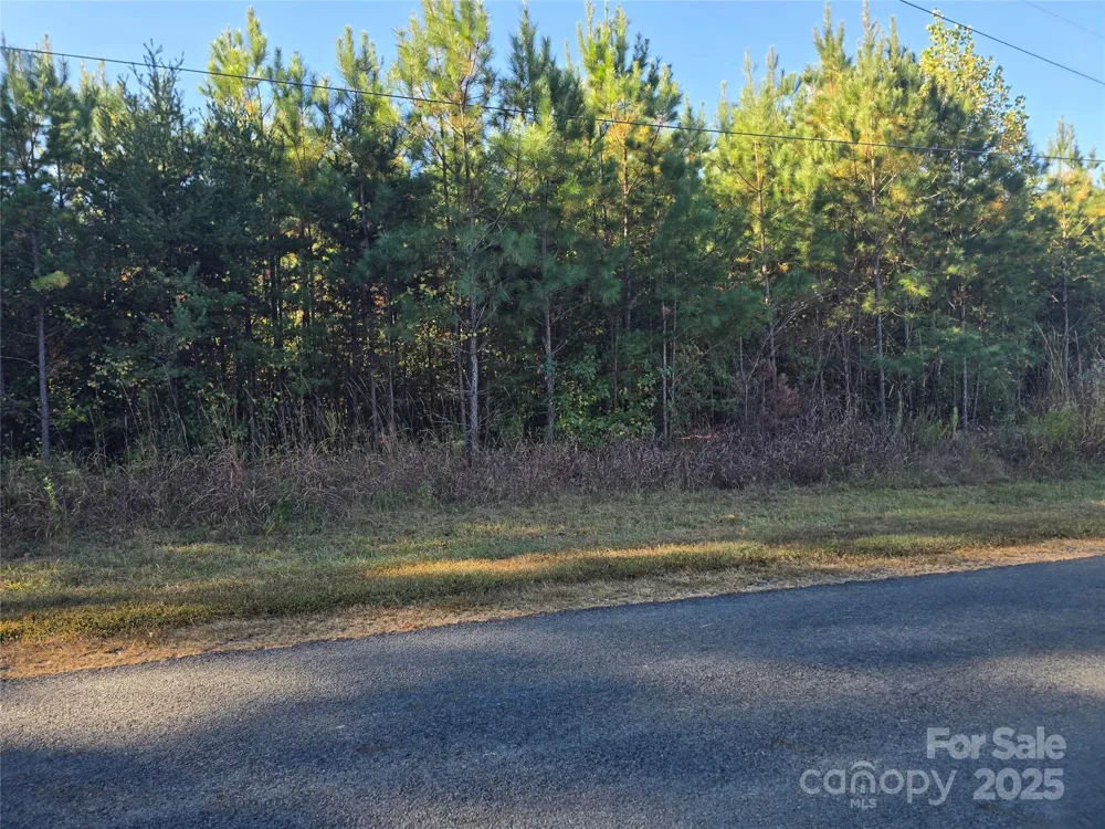 0 Moss Lane New London, NC 28127