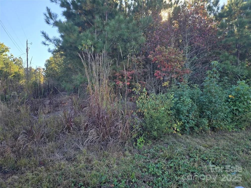 0 Moss Lane New London, NC 28127