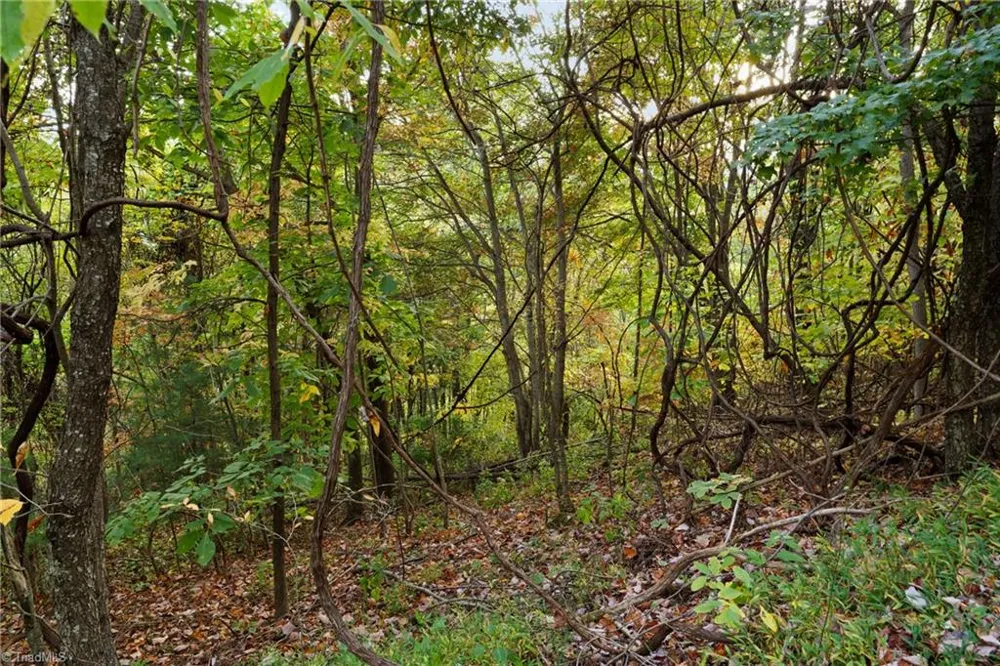 Lot 16 Little Ivy Lane Deep Gap, NC 28618