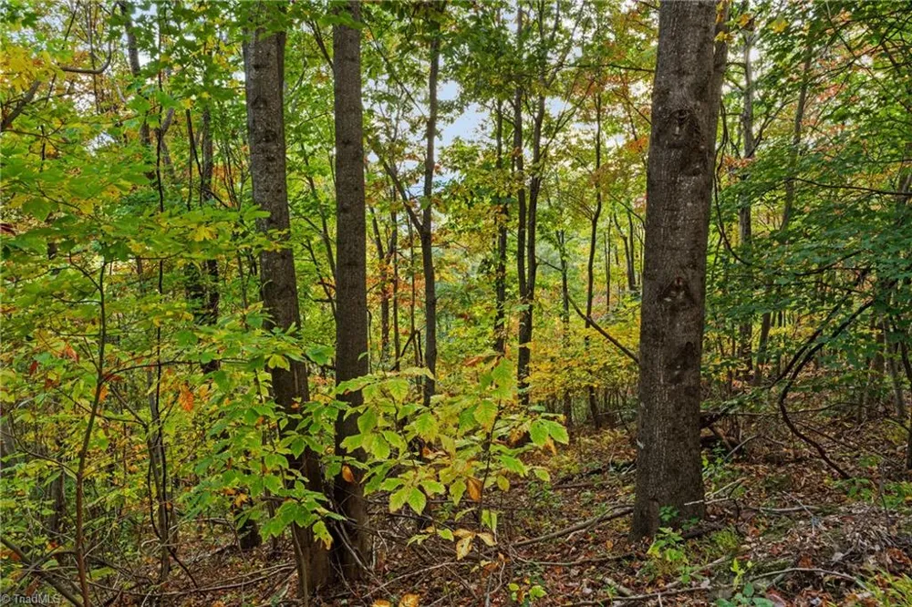 Lot 16 Little Ivy Lane Deep Gap, NC 28618