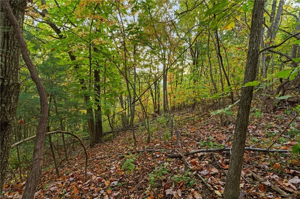Lot 16 Little Ivy Lane Deep Gap, NC 28618