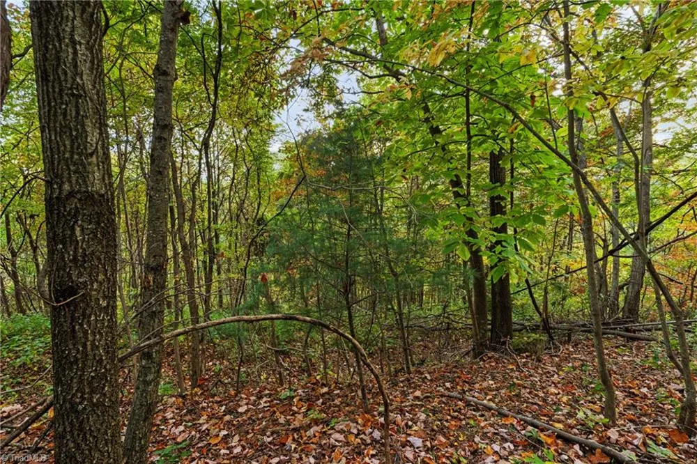 Lot 16 Little Ivy Lane Deep Gap, NC 28618