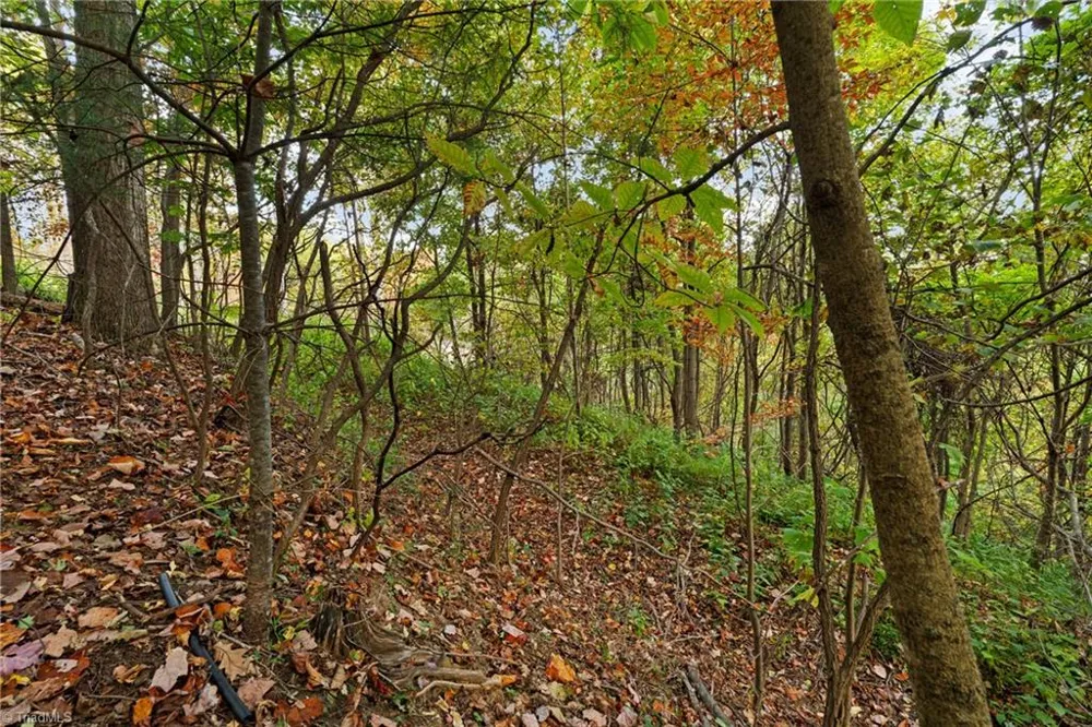 Lot 16 Little Ivy Lane Deep Gap, NC 28618