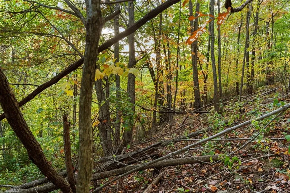 Lot 16 Little Ivy Lane Deep Gap, NC 28618