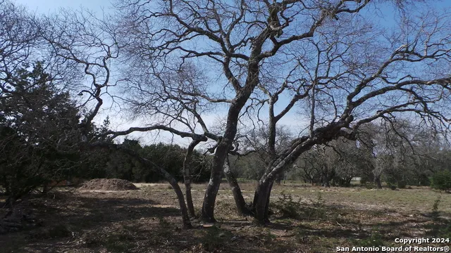 325 Vista View Dr Boerne, TX 78006