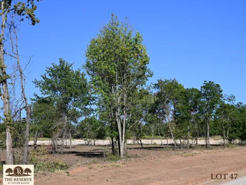 Colt Road