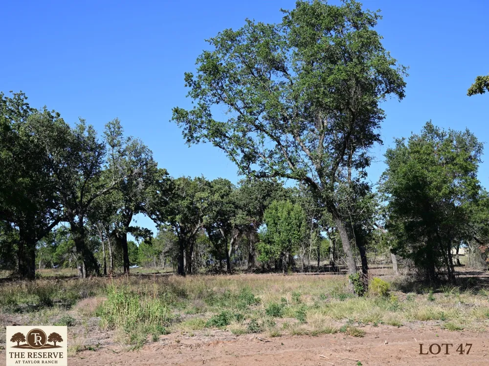 Colt Road Springtown, TX 76082
