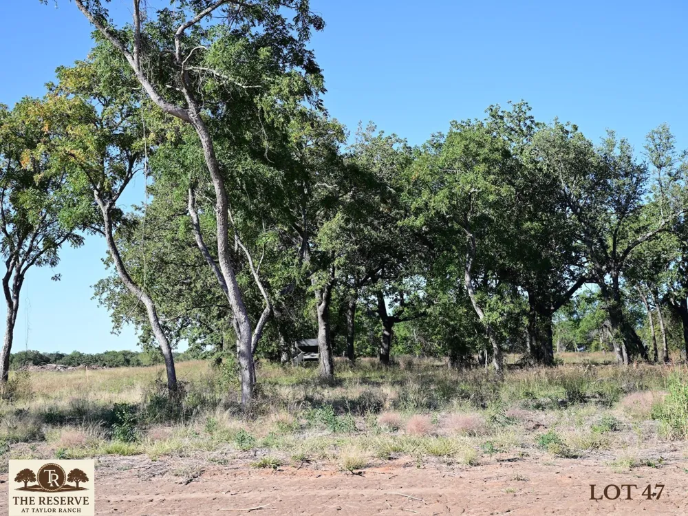 Colt Road Springtown, TX 76082