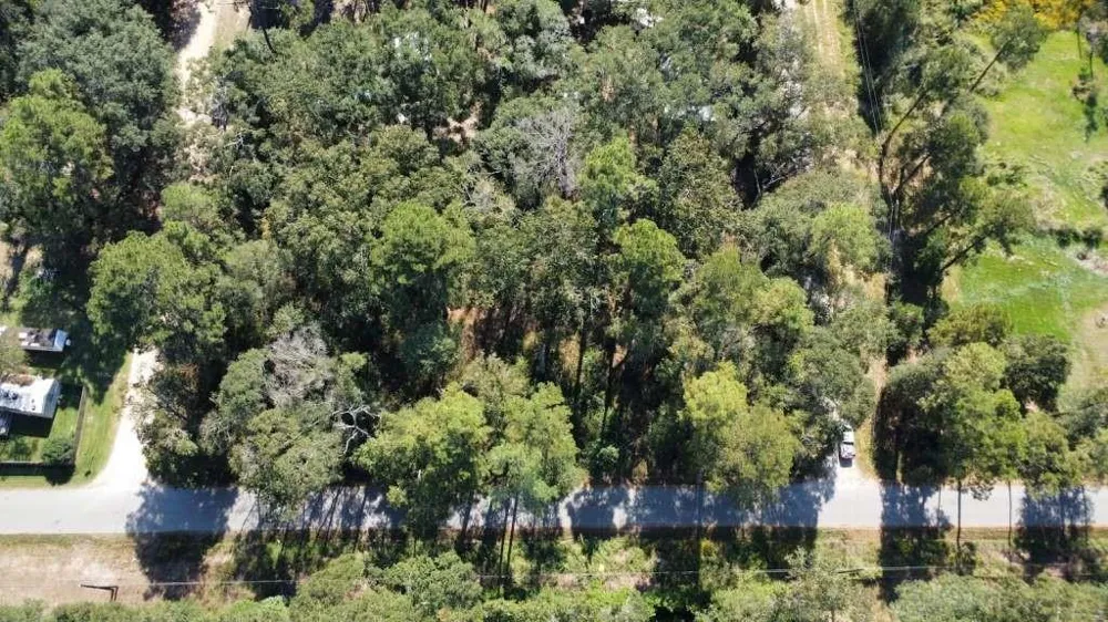 Dennis Peyton Road Shepherd, TX 77371
