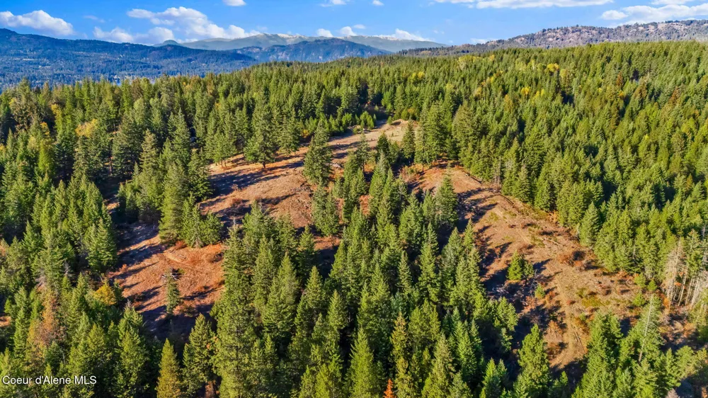 NKA Y-For Road Cocolalla, ID 83813