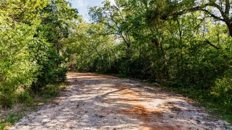 High Crossing Road