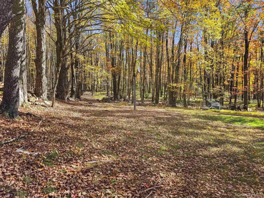 241 Royce Road Bethel, NY 12720