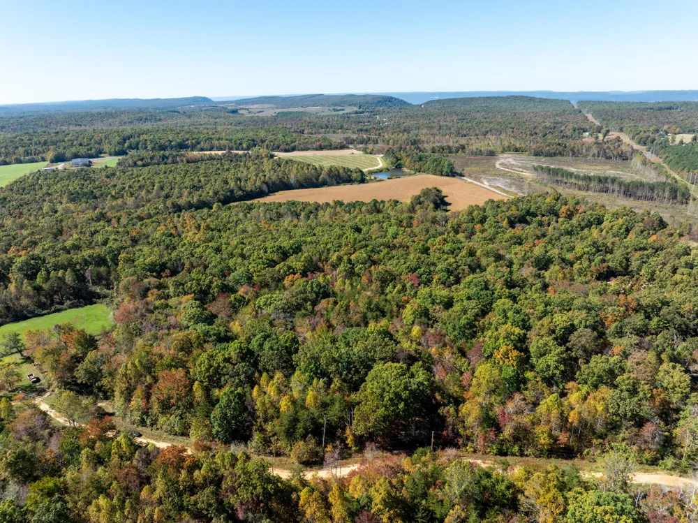 Dickson Road Pikeville, TN 37367