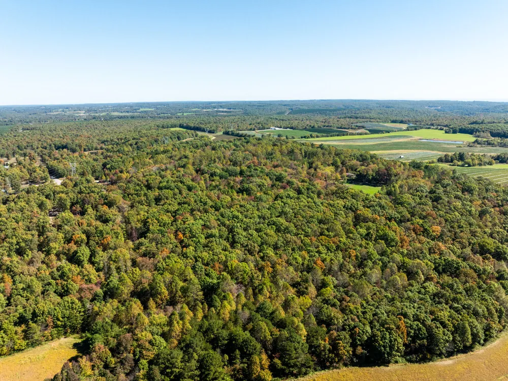 Dickson Road Pikeville, TN 37367