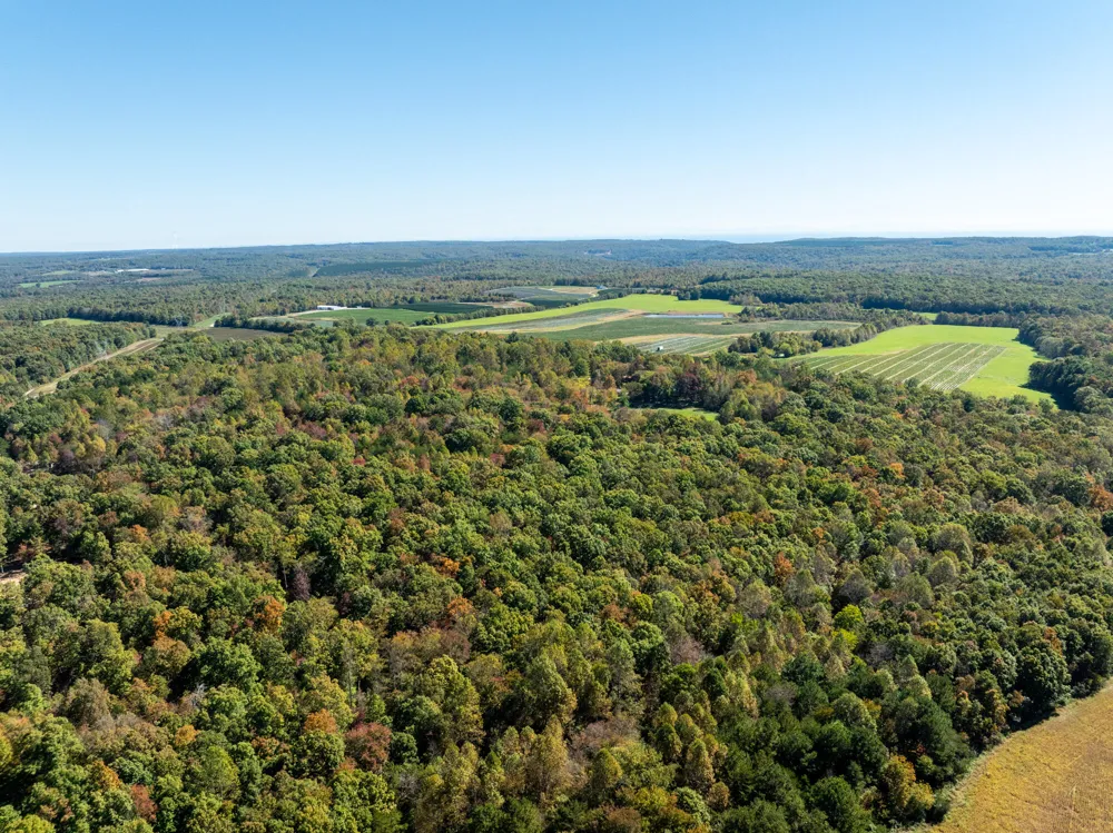 Dickson Road Pikeville, TN 37367