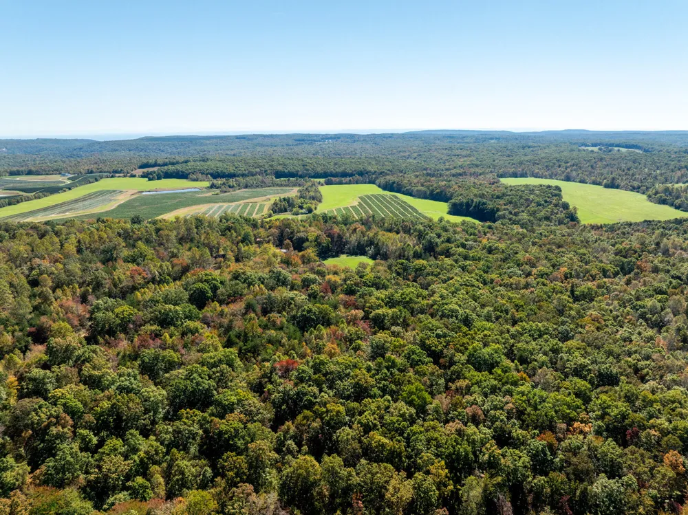 Dickson Road Pikeville, TN 37367