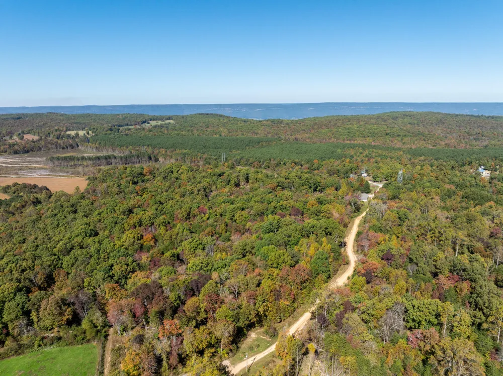 Dickson Road Pikeville, TN 37367