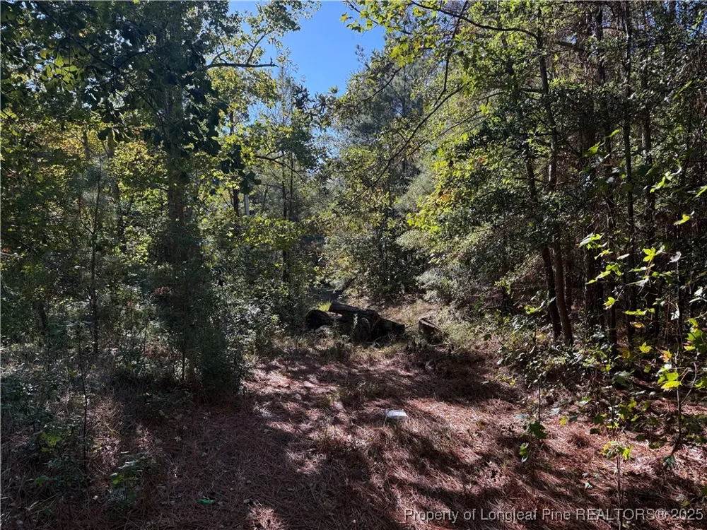 2608 Blowing Rock Court Hope Mills, NC 28348