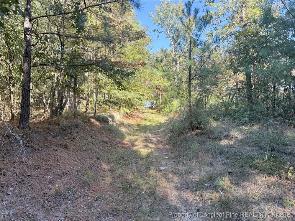 2608 Blowing Rock Court Hope Mills, NC 28348