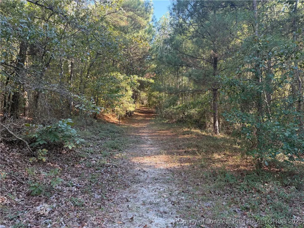 2608 Blowing Rock Court Hope Mills, NC 28348