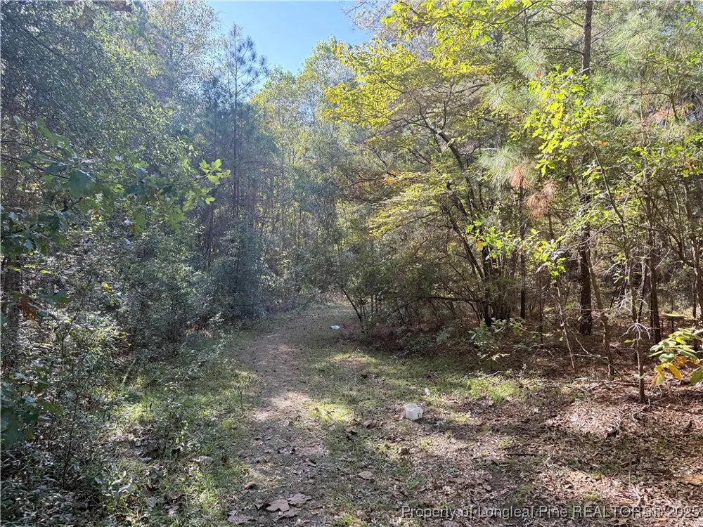 2608 Blowing Rock Court Hope Mills, NC 28348