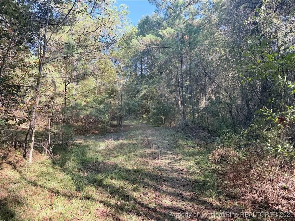 2608 Blowing Rock Court Hope Mills, NC 28348