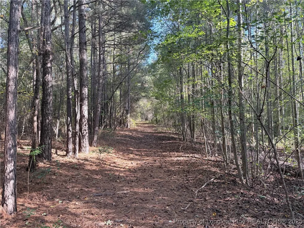 2608 Blowing Rock Court Hope Mills, NC 28348
