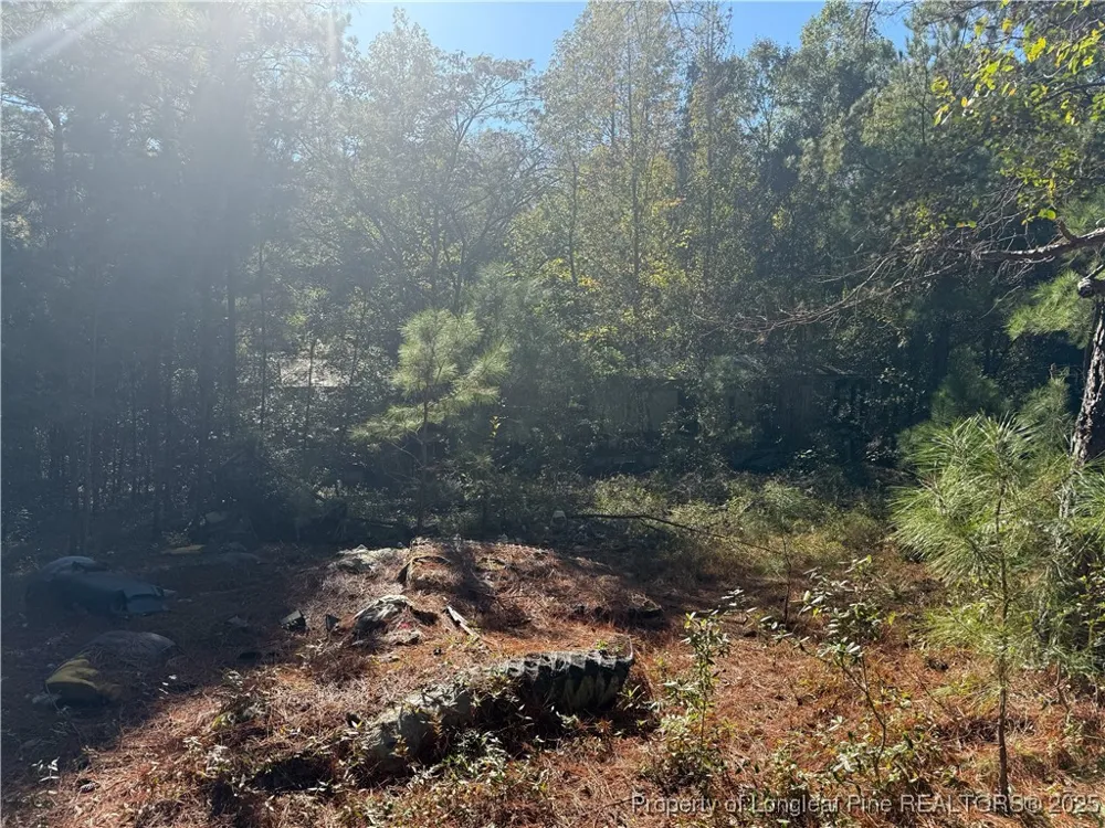 2608 Blowing Rock Court Hope Mills, NC 28348