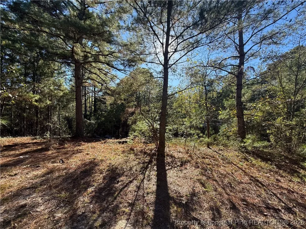 2608 Blowing Rock Court Hope Mills, NC 28348