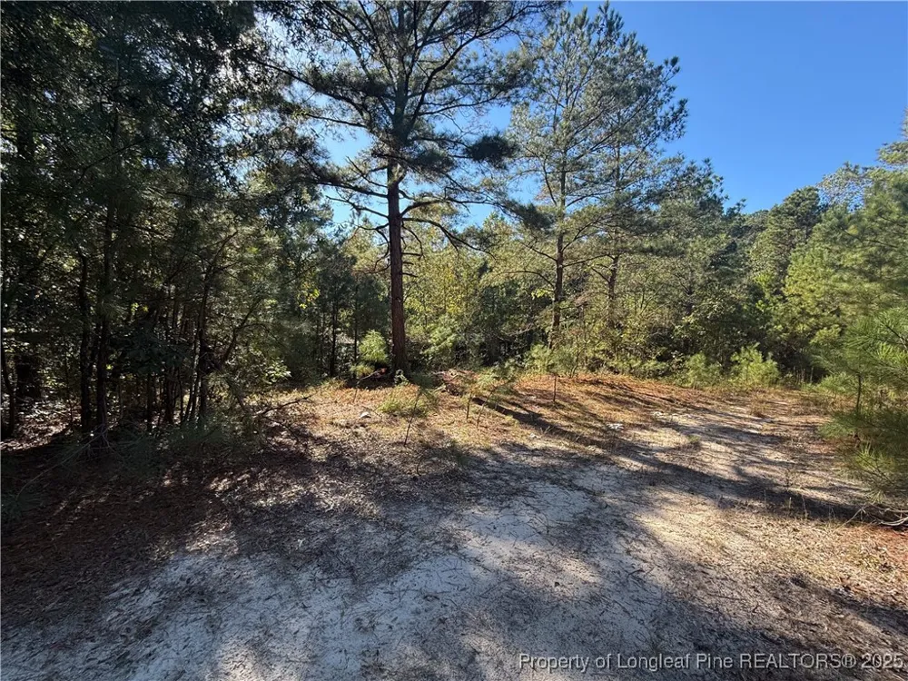2608 Blowing Rock Court Hope Mills, NC 28348