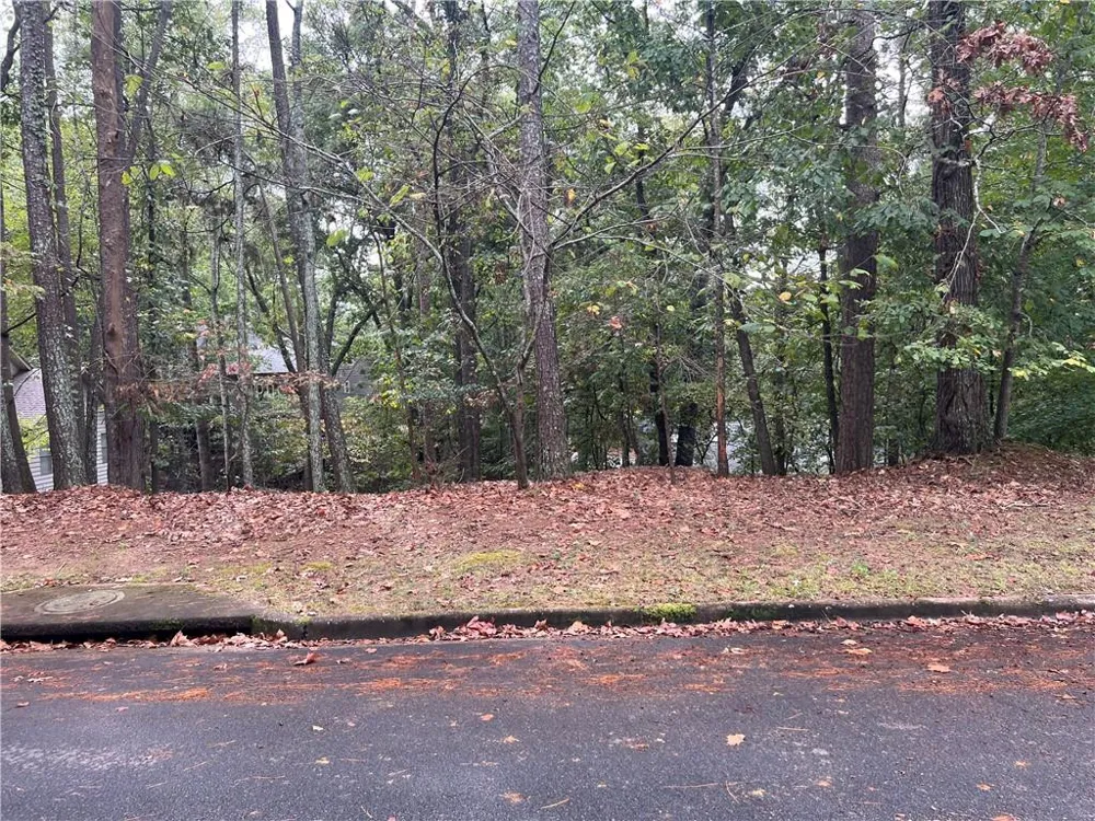 0 SPYGLASS BLUFF DRIVE Johns Creek, GA 30022
