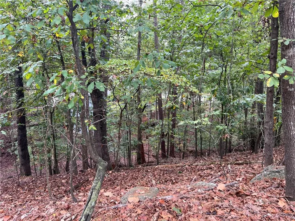 0 SPYGLASS BLUFF DRIVE Johns Creek, GA 30022