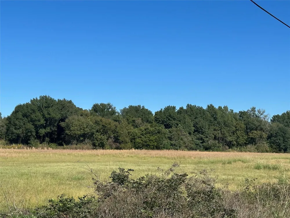 9 Us-79 Oakwood, TX 75855